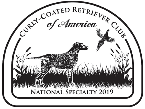 2019 Fields logo