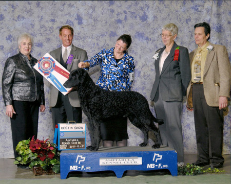 Photo of Thriller 2012