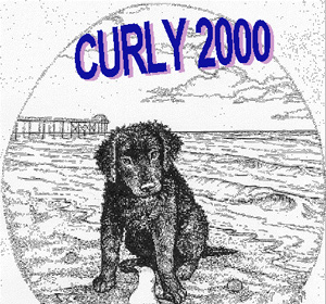2000 CCRCA Specialty Logo