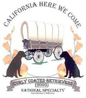 2005 Logo