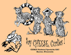 2007 CCRCA Specialty Logo