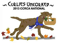 2013 CCRCA Specialty Logo