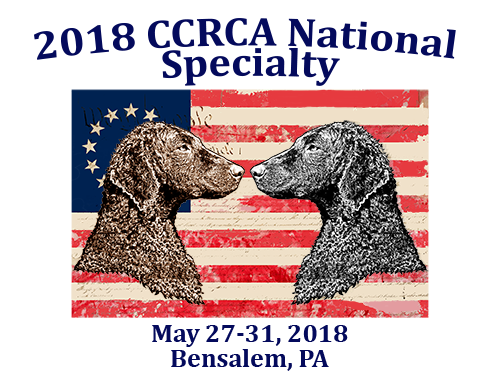 2018 CCRCA Specialty Logo